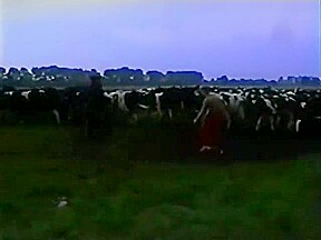 Vintage Boy Vids (2)