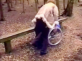 Wheelchair girl outdoor fun