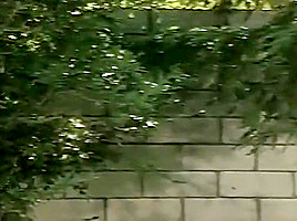 White Slut Bangs Black Pool Person