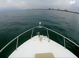 Yacht Twerk