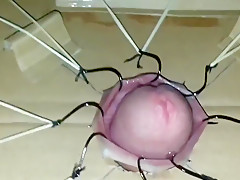 cbt extreme fishhooks torture 1