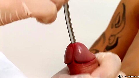 free porn videos xvideos