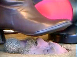 trample lodge 9