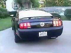 twink sucked